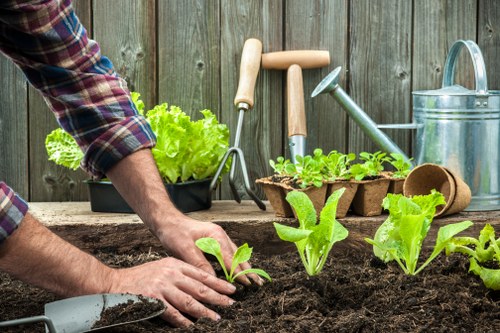 In the image, a person wearing a plaid shirt is engaged in gardening activities in a backyard garden with a wooden fence in the background. Their hands are planting young leafy green vegetables into freshly turned dark soil, which covers a neatly prepared planting bed. Several seedlings are already growing prominently in the foreground, with vibrant green leaves contrasting against the rich soil. Nearby, gardening tools including a hand trowel, a watering can, and a small garden spade are placed on a weathered wooden surface, suggesting recent or ongoing planting work. In the background, there are flower pots with small plants, a metal watering can, and gardening gloves, indicating a well-maintained outdoor space dedicated to cultivating vegetables or herbs. The overall scene depicts a tidy, organized garden area suitable for landscaping and horticultural services in Paddington, with natural lighting suggesting an overcast or partly sunny day, ideal for gardening activities and outdoor maintenance in urban or suburban settings.