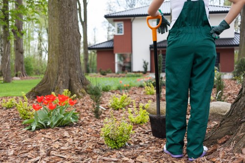 The image shows a gardener standing in a landscaped garden in Paddington, wearing dark green gardening overalls and holding a small hand trowel. In the foreground, there are red tulips and various green shrubs planted in a mulched bed of brown bark chippings, which surrounds a mature tree trunk. Behind the gardener, the garden features a neatly maintained lawn with lush, dense grass, and a prominent tree with a thick trunk and spreading branches. In the background, a modern two-storey house with a red-brick exterior and white-framed windows is partially visible, set within a well-kept garden environment. The scene is illuminated by natural daylight, suggesting a clear and mild weather day, with the overall setting demonstrating tidy and organized outdoor space maintenance suitable for professional gardening services like those provided by Lawn Mowing Paddington.