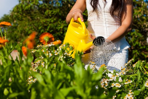 Insured gardening company's paperwork and insurance certificate on a clipboard
