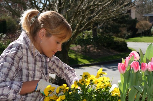 Technician preparing a written free quote for lawn care